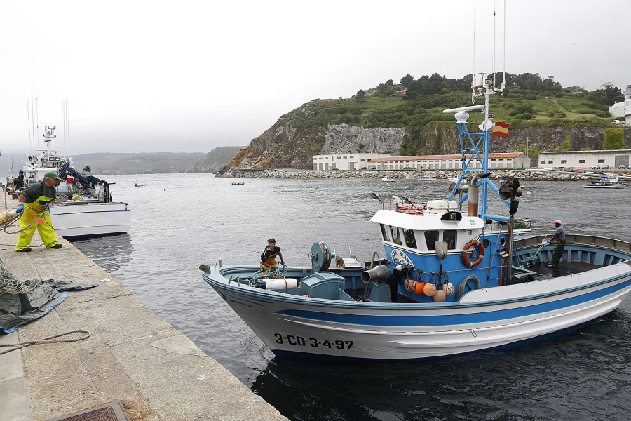 Las ventas en la rula de Malpica caerán un 40% tras decretarse el cierre la pesca del abadejo