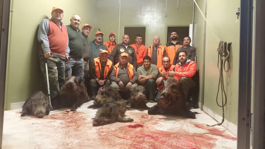 La cuadrilla de cazadores de Cabana abatió el domingo seis ejemplares de jabalí
