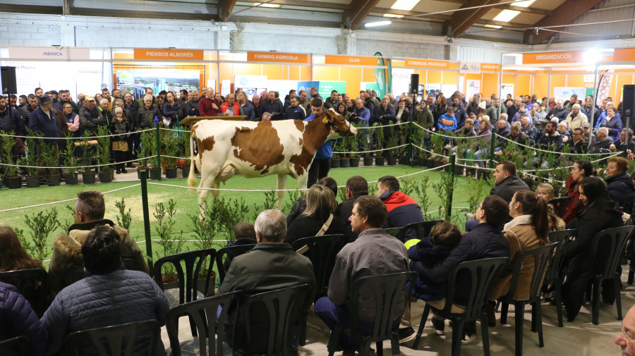 Cerca de 70.000 euros en ventas en la Semana Gandeira de Mazaricos