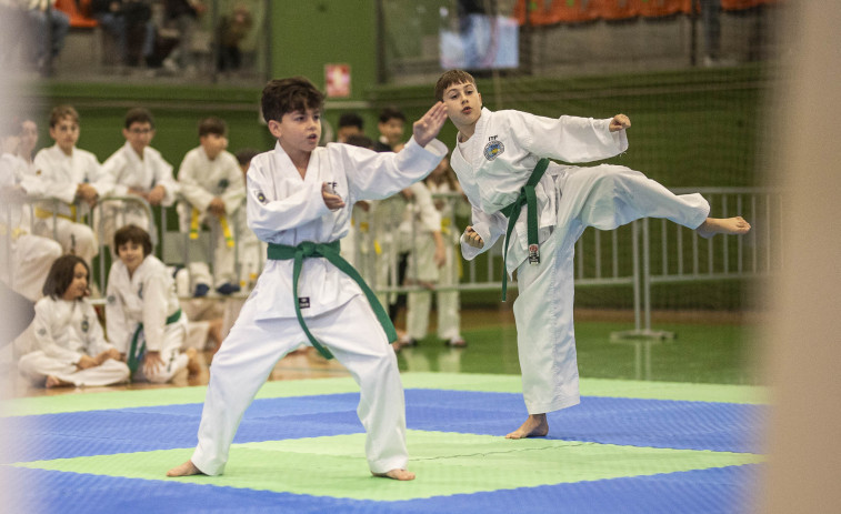 Exitosa competición de taekwondo en Carballo