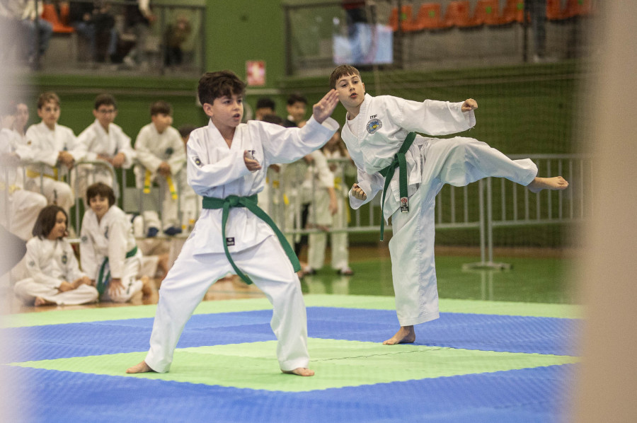 Exitosa competición de taekwondo en Carballo