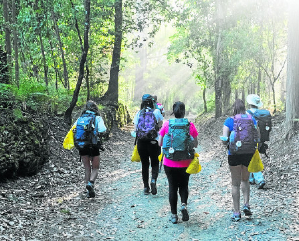 Caminodesantiagocol 20394735