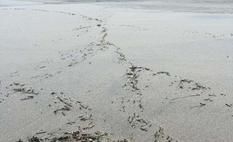 Limpieza de pellets en la Costa da Morte