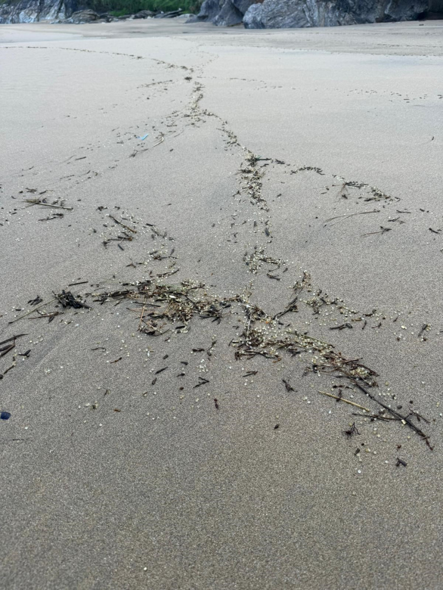 Limpieza de pellets en la Costa da Morte