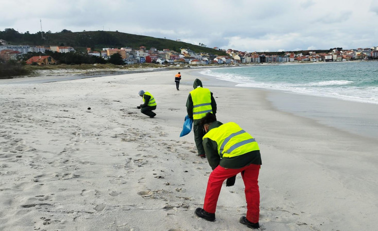 Cuatro entidades ecologistas limpiarán el litoral carballés el fin de semana