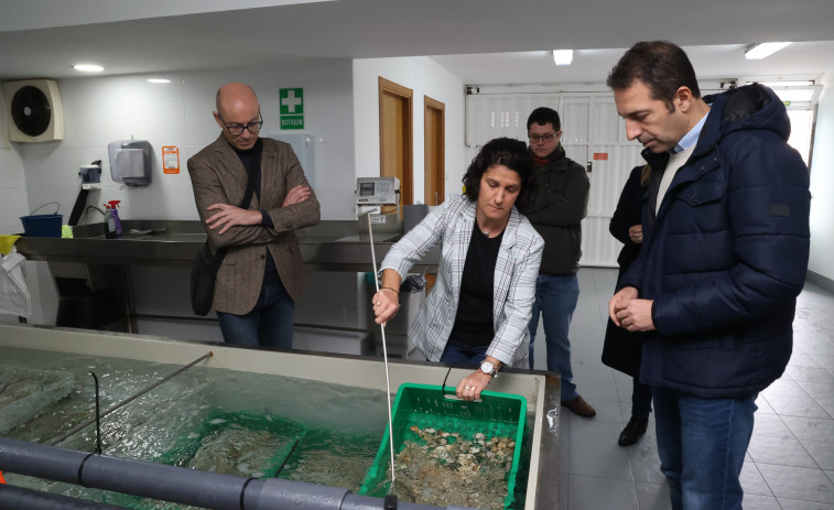 Alfonso Villares pone en valor el trabajo de las mariscadoras del Anllóns