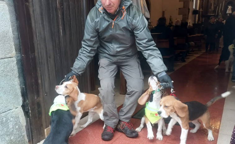 Bendecidas más de 40 mascotas en la festividad de San Antón de Abad, en Noicela