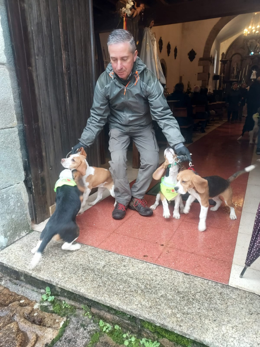 Bendecidas más de 40 mascotas en la festividad de San Antón de Abad, en Noicela