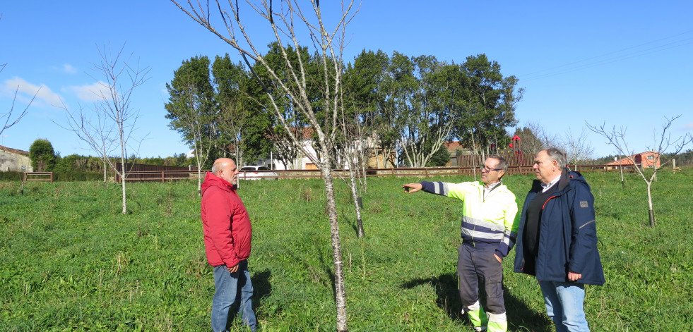El Concello larachés organiza dos obradoiros de poda e injerto de árboles frutales