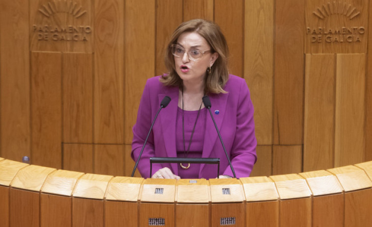 La exconselleira de Empleo Elena Rivo abandona su acta de diputada