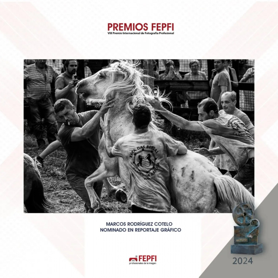 Marcos Rodríguez gana un nuevo premio con una imagen de la Rapa das Bestas