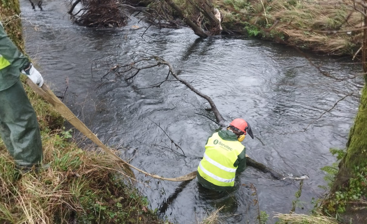 Santa Comba lleva a cabo el  plan de limpieza fluvial presentado a Augas de Galicia