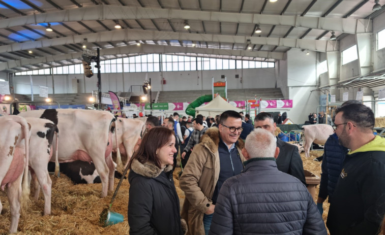 Santa Comba, capital gallega de la ganadería con el 32º Concurso autonómico da raza frisona “Fefriga”