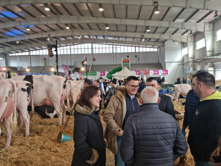 Santa Comba, capital gallega de la ganadería con el 32º Concurso autonómico da raza frisona “Fefriga”