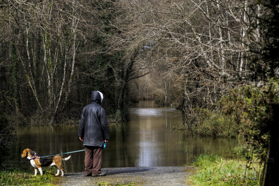 El temporal de nieve y lluvia desborda los ríos y dificulta el tráfico en Galicia