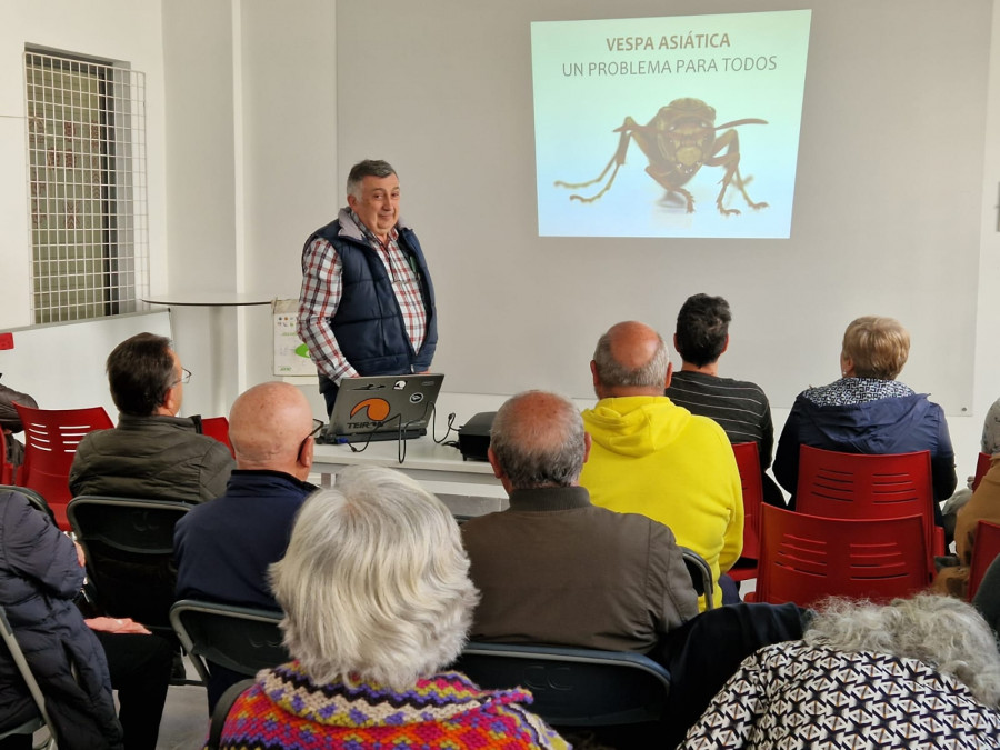 Una charla sobre la avispa velutina centra la segunda sesión del programa MercaEscola de Carballo