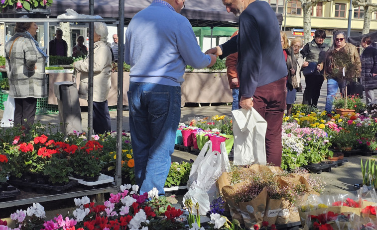 Primera feria de primavera en Carballo