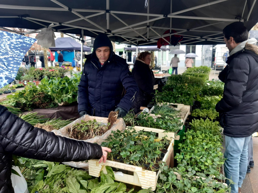 La lluvia y las fiestas diezman las últimas ferias del mes de marzo en Carballo y Cee