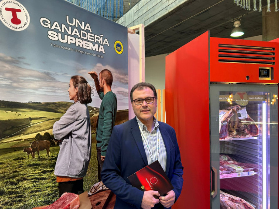 Ternera Gallega: un símbolo de calidad y sostenibilidad en la gastronomía española