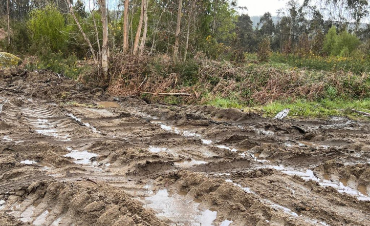 El Concello cierra a la circulación las vías forestales de Montemaior dañadas tras una tala