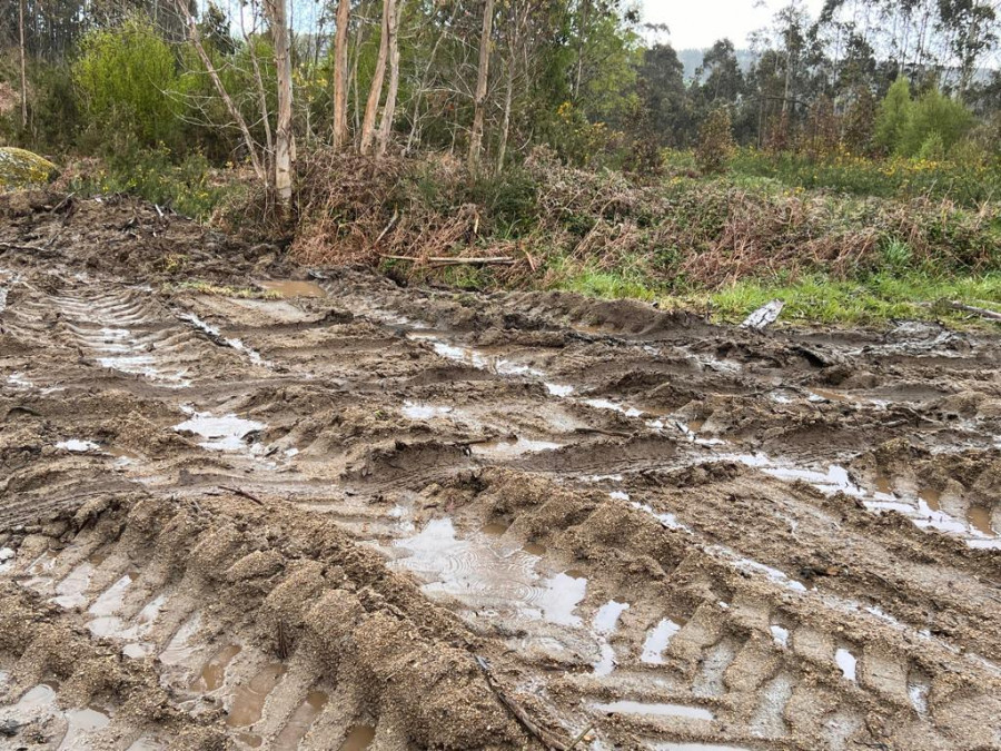 El Concello cierra a la circulación las vías forestales de Montemaior dañadas tras una tala