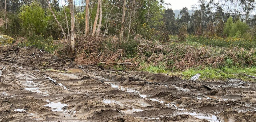 El Concello cierra a la circulación las vías forestales de Montemaior dañadas tras una tala
