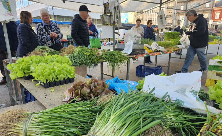 Jornada soleada de feria en Carballo