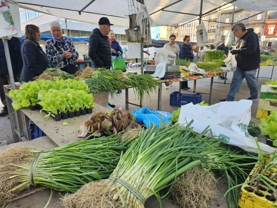 Jornada soleada de feria en Carballo