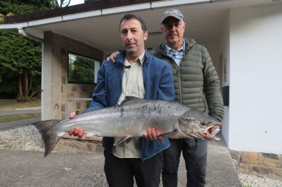 El río Narcea da un campanu de récord: 19.300 euros por un salmón de 8,2 kilos