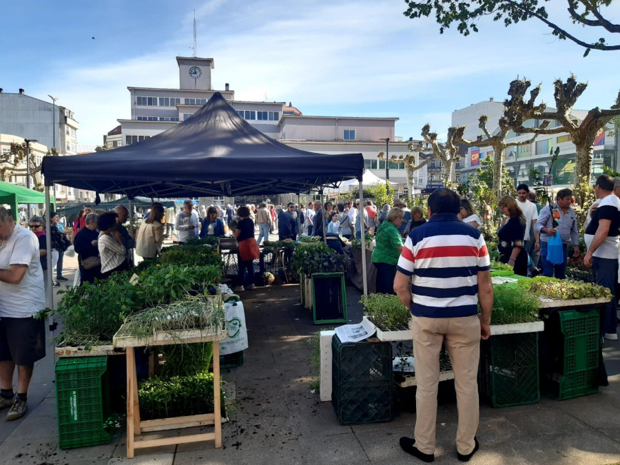 El sol radiante anima las ferias de Carballo y Cee