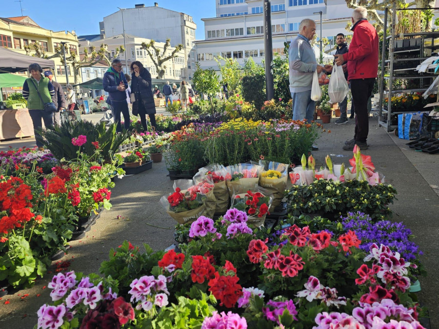 El buen tiempo llena la plaza de Carballo