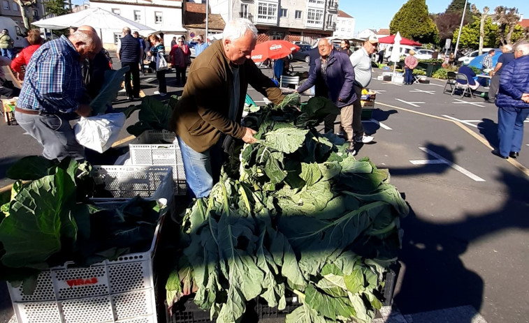 El kilo de patata nueva de Lema y Barizo cotiza ya a tres euros