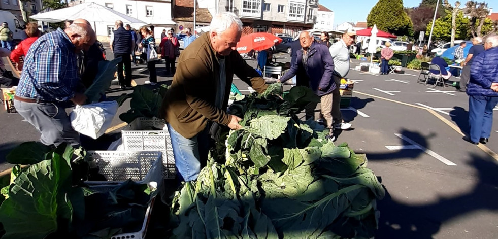 El kilo de patata nueva de Lema y Barizo cotiza ya a tres euros