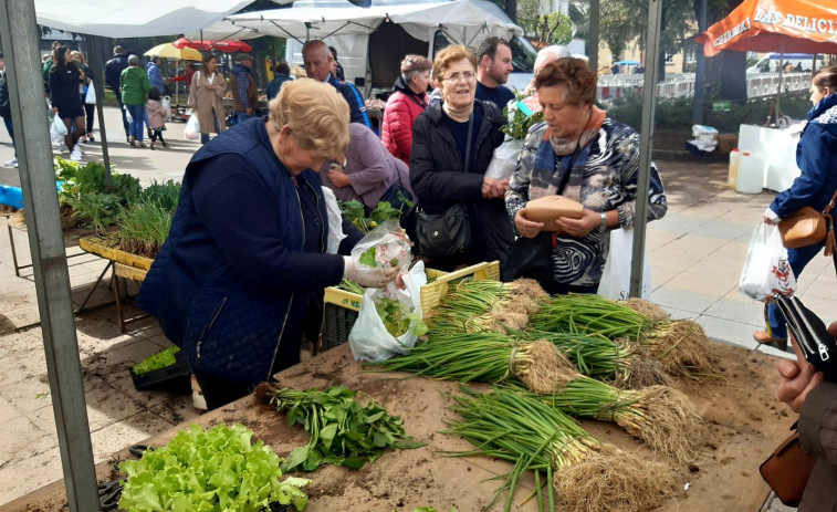 La patata nueva de Cartagena amplía la oferta de la feria de Carballo a precios más asequibles