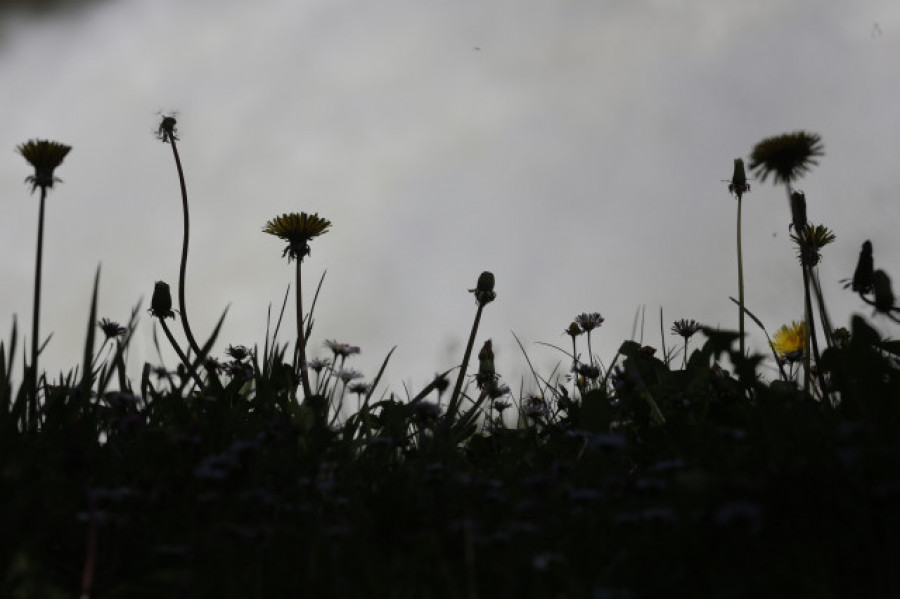 Llega un frente frío con lluvias y descenso de las temperaturas