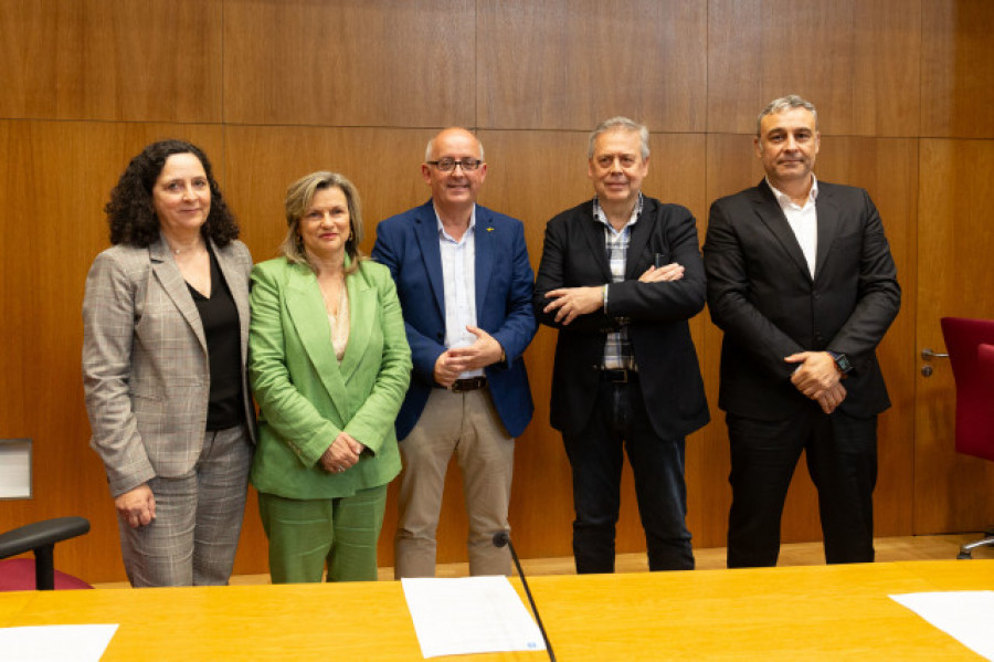 Caamaño aboga por un pacto para “proteger y optimizar” el sistema público de salud