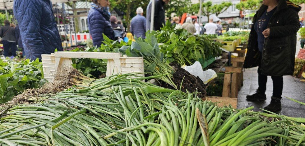 Los productos de huerta, muy demandados en Carballo