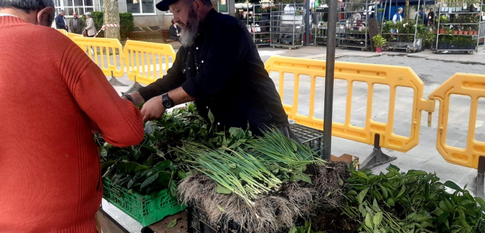 Las patatas nuevas de las huertas de la comarca concentran la atención en la  feria carballesa