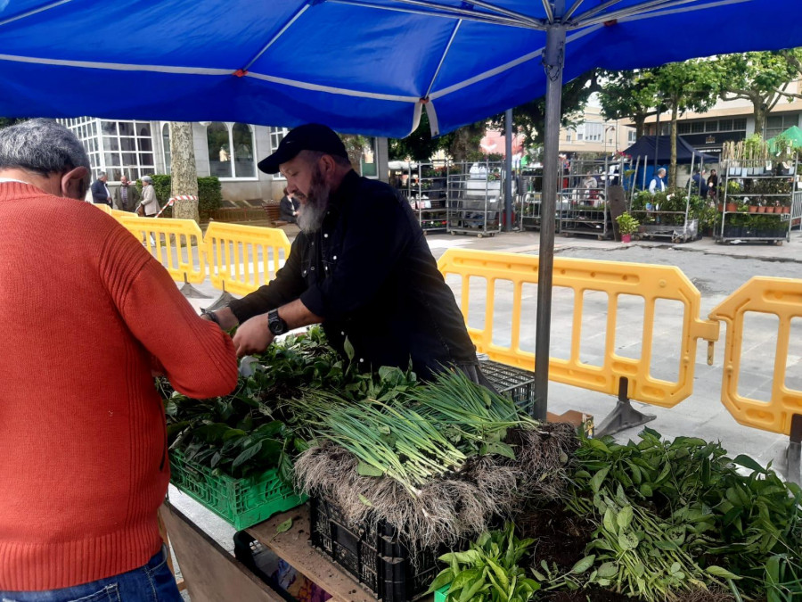 Las patatas nuevas de las huertas de la comarca concentran la atención en la  feria carballesa