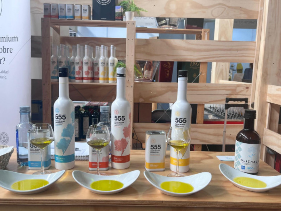 Almazara Terraverne: excelencia en Aceite de Oliva Virgen Extra