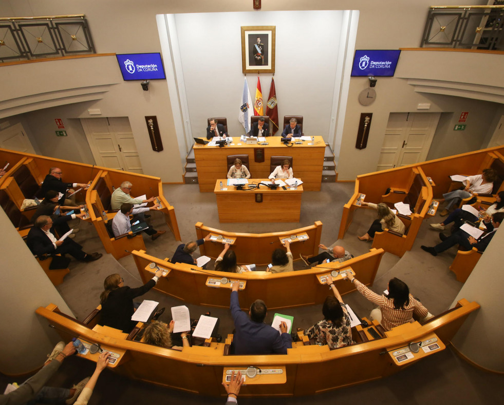 Pleno diputacion