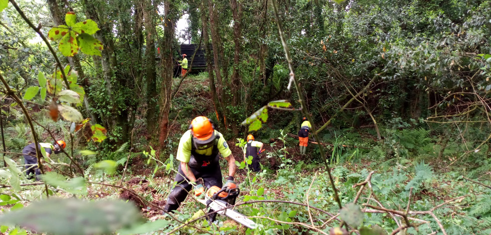 La Xunta realiza labores de conservación en afluentes del río Anllóns en Carballo