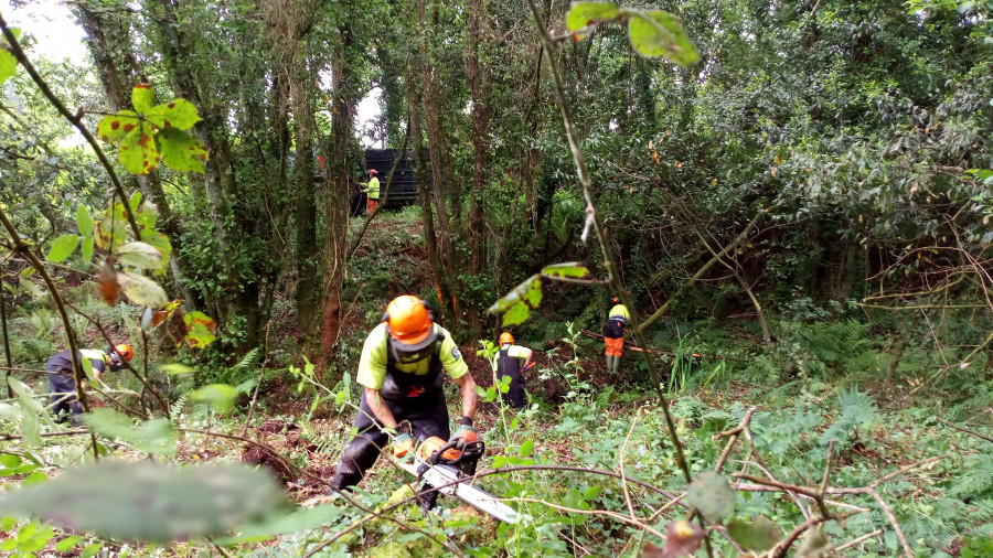 La Xunta realiza labores de conservación en afluentes del río Anllóns en Carballo