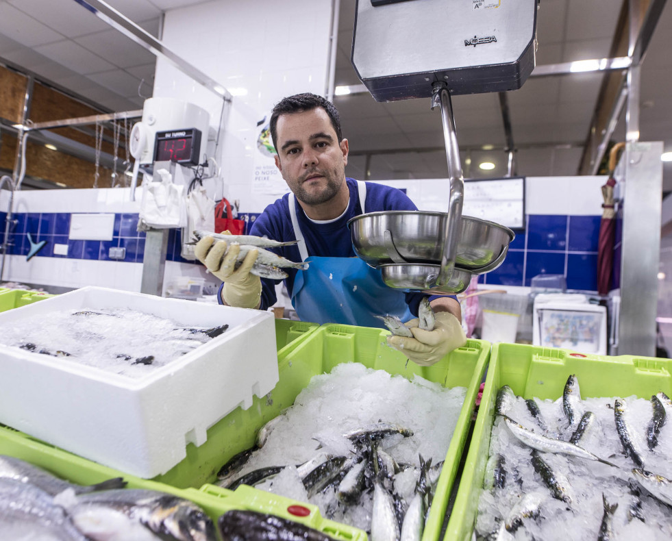 Sardinas mercado 003