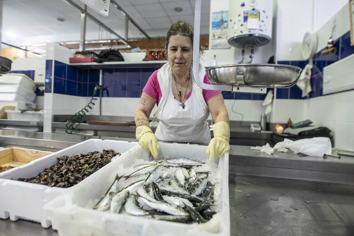 Sardinas mercado 001