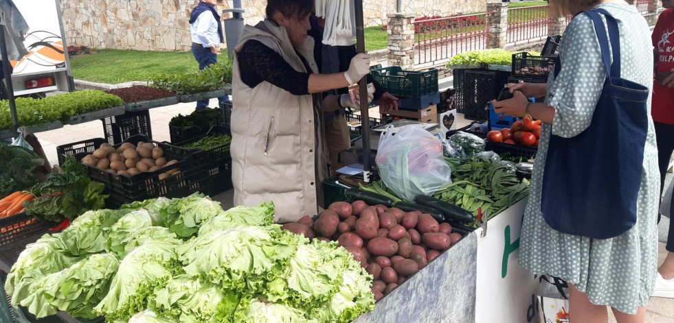 El mal tiempo reduce la oferta y aumenta el precio de las nabizas en la feria de Carballo