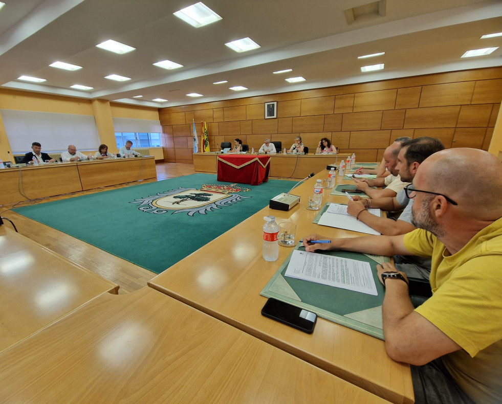 Pleno carballo