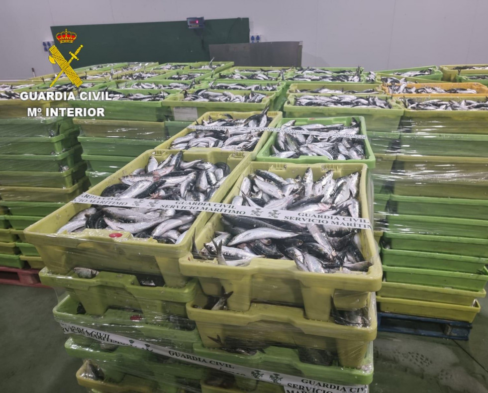 Sardinas decomisadas