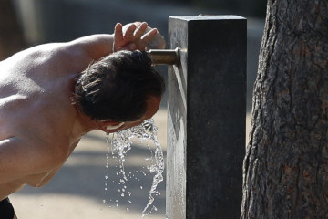 Calor 14