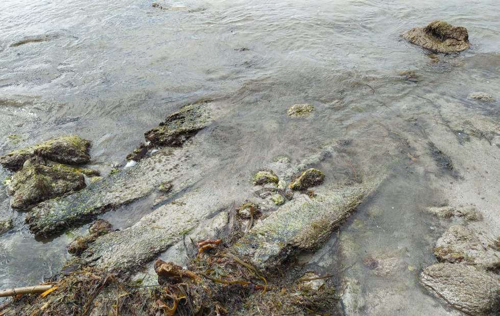 La Factoría Marítima Albaola de Gipuzkoa colabora con la identificación del Pecio de Arnela